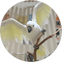 hsgw profile picture